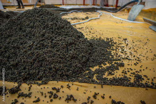Obraz na płótnie Dark granular material spread on a yellow surface in an indoor industrial facility, with visible pipes, hoses, and equipment in the background. w salonie