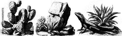 Engraved cactus and desert wildlife illustration set for nature-inspired design