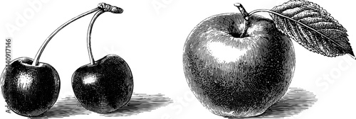 Engraved vintage fruit illustration featuring cherry and apple for design projects