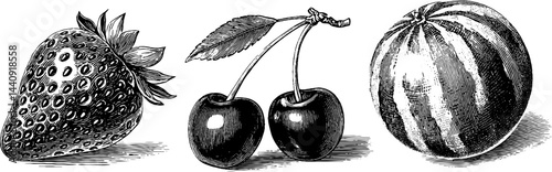 Vintage fruit engravings of strawberry, watermelon, and cherries for design use