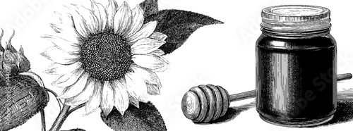 Engraved illustration of sunflower and honey jar set for natural product design