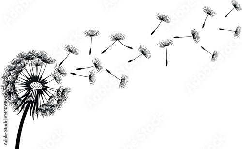 Dandelion Seeds Blowing in the Wind - Vector Art