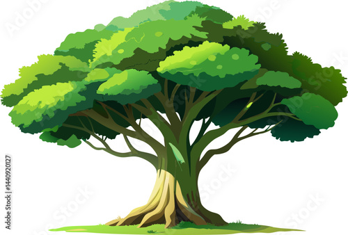 A watercolor of a Sycamore Fig (Ficus sycomorus), with a thick trunk and wide green canopy, isolated on a white background.