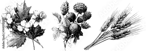 Engraved autumn bouquet featuring berries and floral elements for seasonal designs