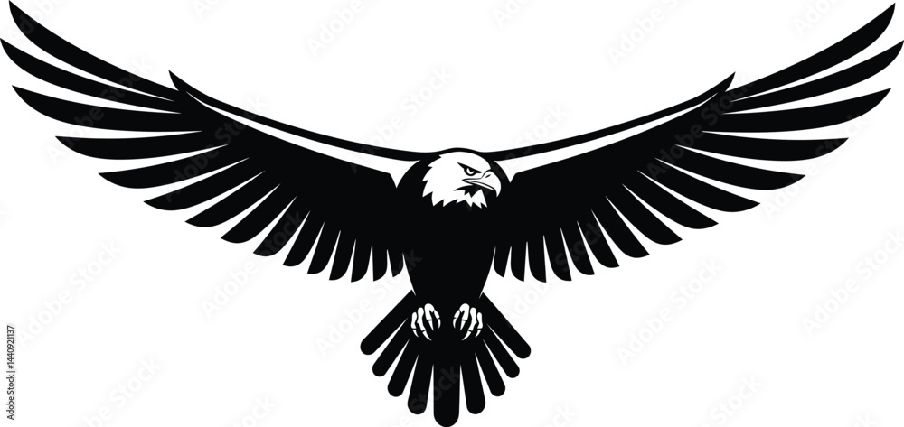 Fototapeta premium Soaring Eagle, Black and White Vector Illustration