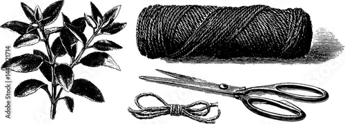Vintage botanical herb bundle with twine and scissors for crafting and design
