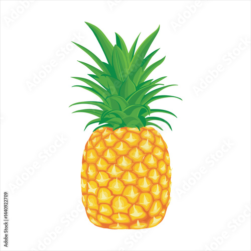 pineapple vector