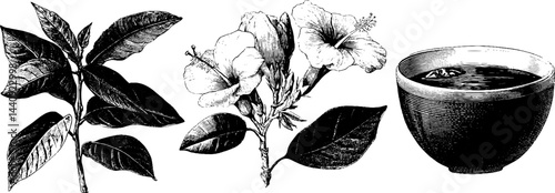 Black and white engraved tropical leaf and flower set with bowl