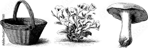 Engraved antique set featuring woven basket, wild flowers, and mushroom for vintage design