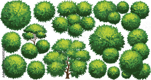 Vector set of Top view green tree for outdoor plan or map and architecture drawing, elements for environment and garden 