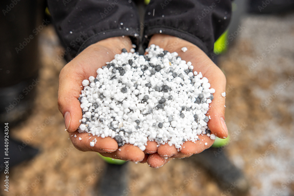 Cupped hands hold small white and gray granular pellets, possibly fertilizer, with a dark jacket and neon accents visible. Wood chips cover the ground.