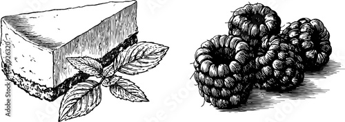Engraved cheesecake and raspberry illustration for culinary design projects
