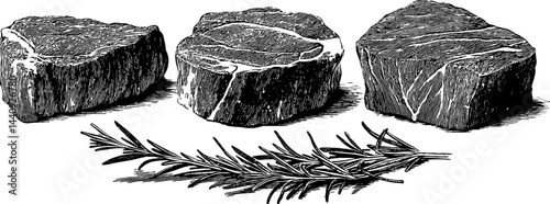 Rustic engraved illustration of steak cuts with rosemary for culinary design and kitchen decor