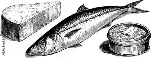 Engraved illustration set featuring fish tartare and whole fish for culinary design