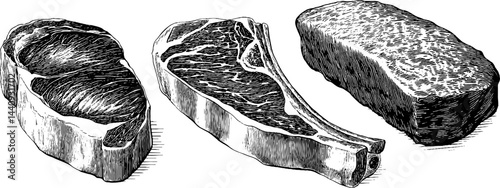 Engraved illustration set of raw steak and rib cuts for culinary use