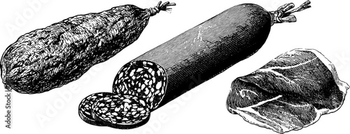 Artistic engraved illustration of salami and prosciutto for culinary design