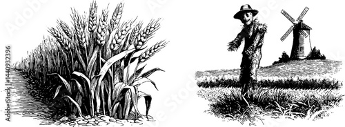 Engraved illustration of wheat field and scarecrow with windmill