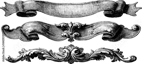 Vintage engraved ribbon and floral ornament set for design and decoration