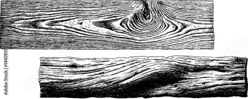 Engraved woodcut plank design for rustic decor and nature-inspired projects