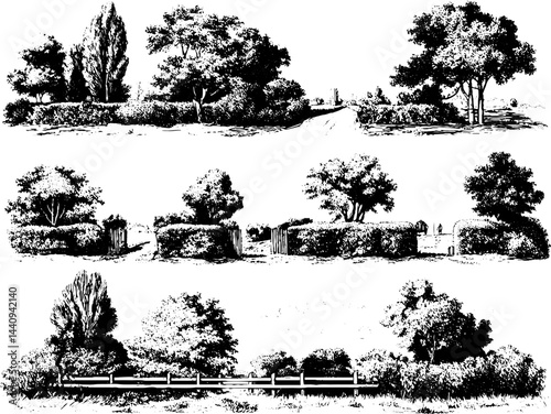 Engraved landscape illustrations of country hedges and trees for design