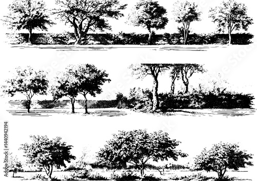 Engraved illustration set of country hedges in black - nature and landscaping design elements