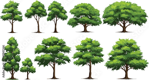 Vector watercolor green tree or forest side view isolated on white background for landscape and architecture drawing,elements for environment or and garden,Shrub for section
