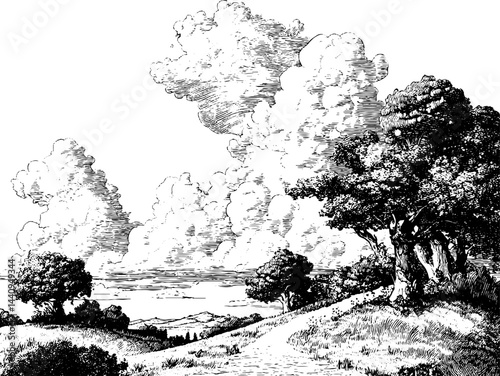 Engraved landscape with cloud shadows and trees in detailed illustration