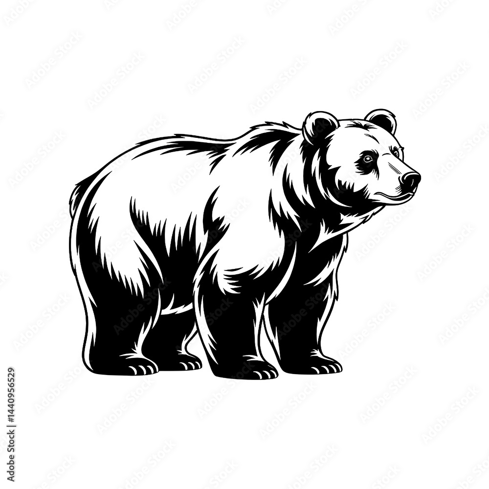 Obraz premium Monochrome bear vector illustration