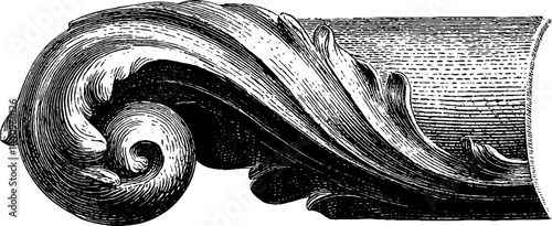 Intricate decorative volute engraving design for architectural ornamentation