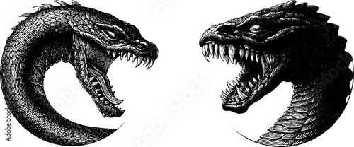 Intricate engraved illustrations of abyssal serpent creatures for artistic design inspiration