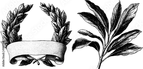 Vintage engraving of laurel wreath and botanical sprig for decorative design