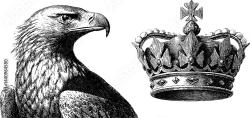 Engraved imperial eagle and crown illustration for artistic design and decor
