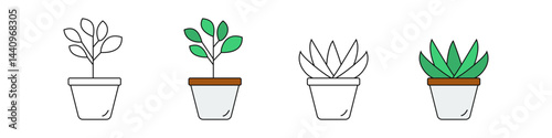 Simple vector illustration showing the transformation of indoor potted plants from outline drawings to full-color versions, ideal for design projects.