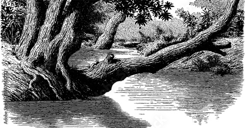 Engraved illustration of serene river flood scene in nature