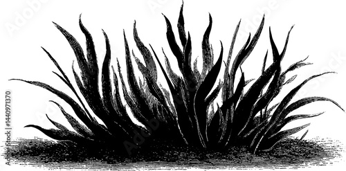 Engraved art of wildfire with black bold lines for nature conservation designs