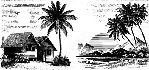 Engraved illustrations of tropical island huts and palm trees in serene coastal landscapes