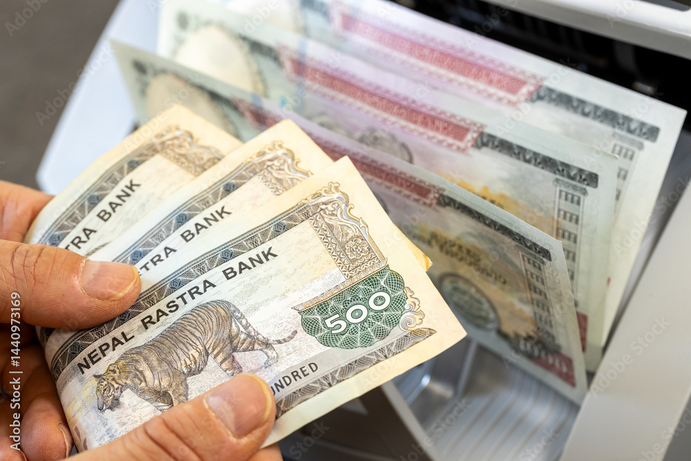 Nepalese rupees in a money-counting machine. Financial and business concept. large banknotes. banking, economics, investing in Nepal. close up