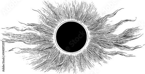 Detailed engraving of solar flare with bold black sunburst design for scientific illustration