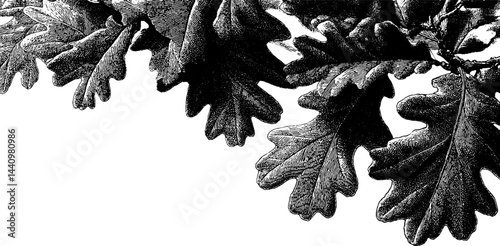 Engraved oak branch border design in black for elegant decor