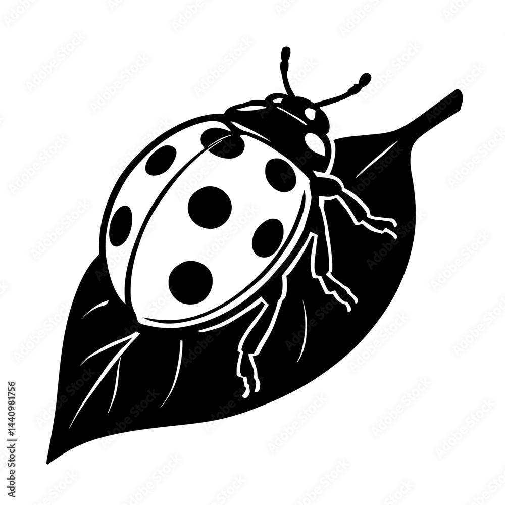Obraz premium Detailed Ladybug Insect on Leaf Illustration - Black and White for Nature, Entomology, Biology, or Gardening Themes