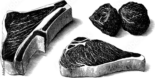 Engraved meat cuts illustration featuring pork chop and beef set for culinary design