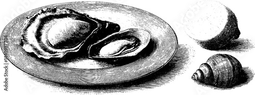 Engraved illustration of seafood platter with oysters and seashells for culinary art