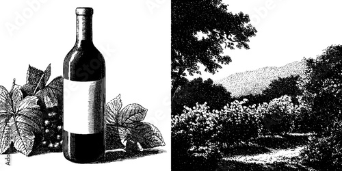 Vintage wine bottle with vineyard landscape in engraved artistic style