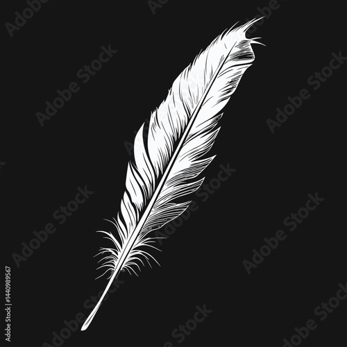 Quill Feather on Dark Background Black Background