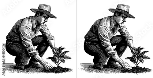 Engraved illustration of farmer planting seedlings for agricultural design