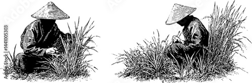 Traditional chinese farmers in rice field engraving illustration