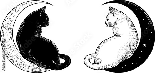 Engraved illustration of cats seated on crescent moons with star accents