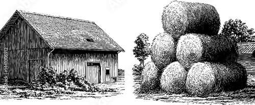 Rustic barn and hay bales engraving for farmhouse decor or historical design