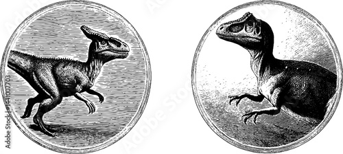 Engraved illustration set of pachycephalosaurus dinosaurs in detailed design for educational materials