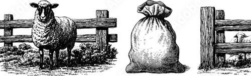 Engraved sheep and wool sack illustration for rustic farm design and decor